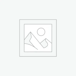 Comfort Dining Chair